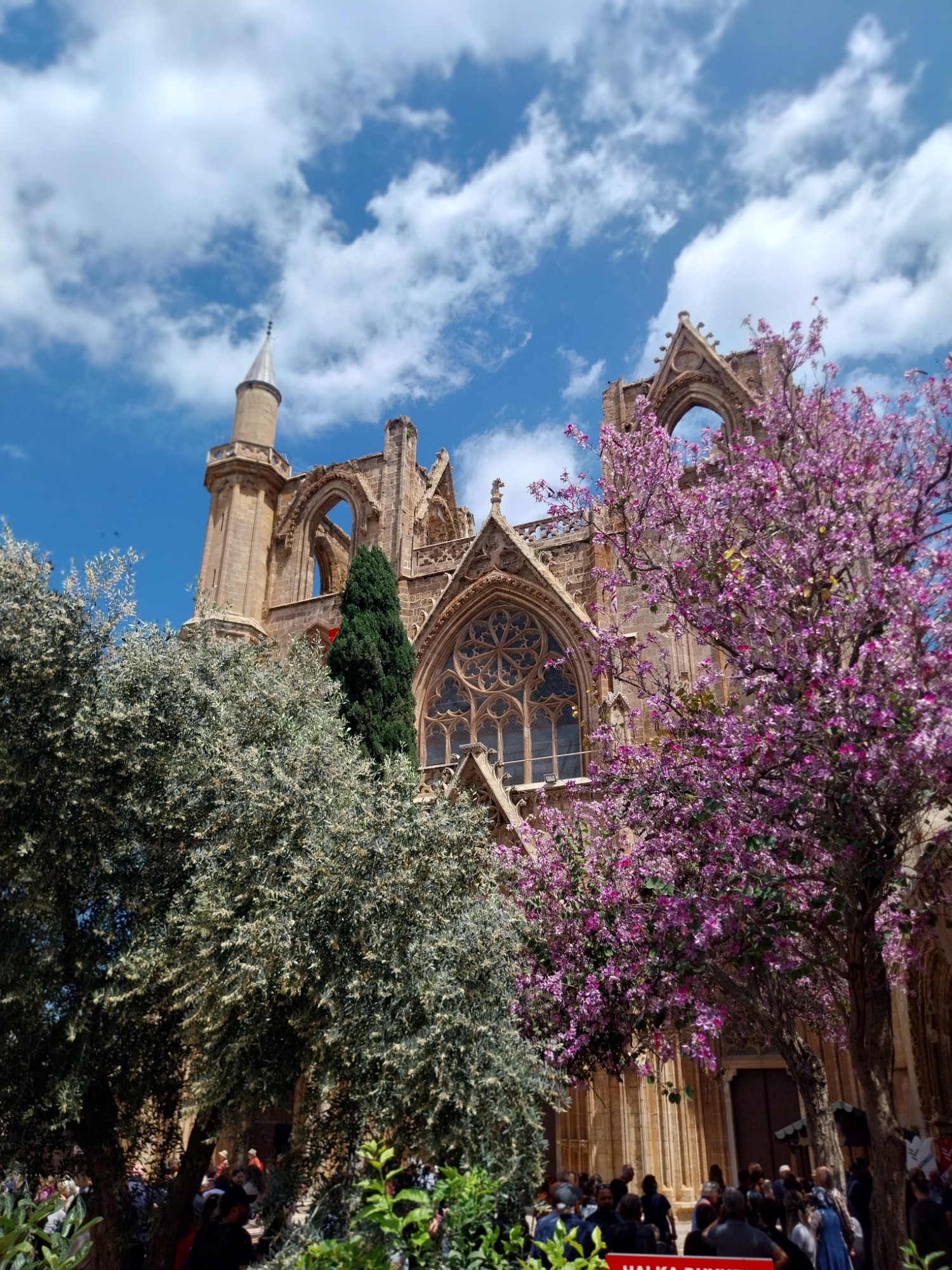 Cyprus Dream Holiday Galéria 6